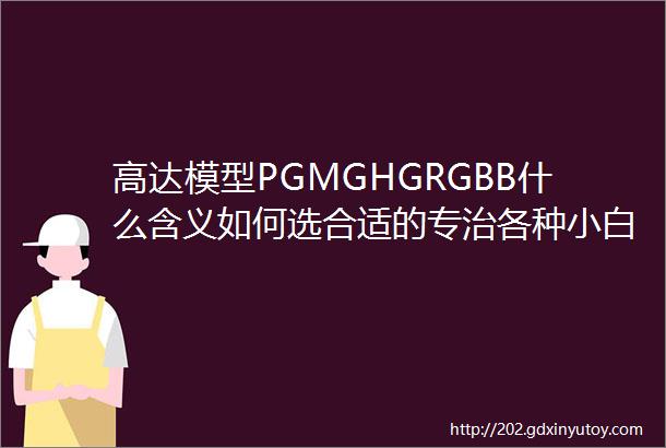 高达模型PGMGHGRGBB什么含义如何选合适的专治各种小白