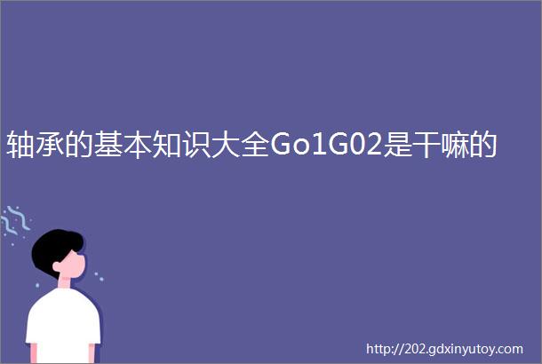 轴承的基本知识大全Go1G02是干嘛的